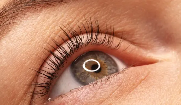 Lifting de Pestañas